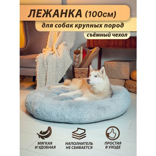 ���� ������� ��� ������, ��� ������� � ������� �����, �� ������� ������, ������� - 100 ��, ������ ������