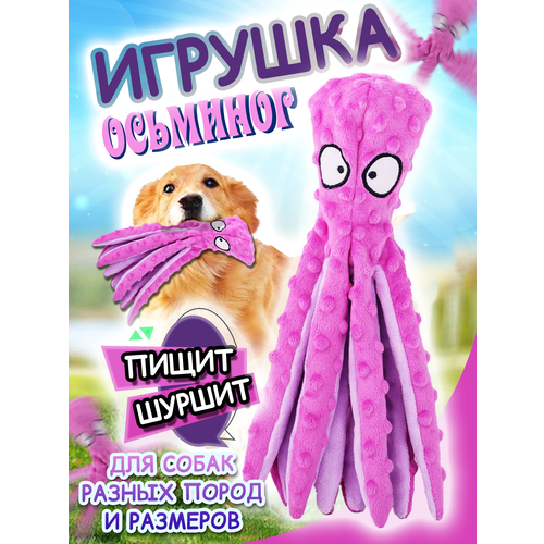 ���� ������� ��� ����� �������� �������, ������ ������