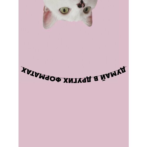 ���� �������� �������� �������� �� ���� ������, ������ ������