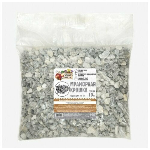 ���� ��������� ������ , �����, �� 10-20 �� , 10 ��, ������ ������