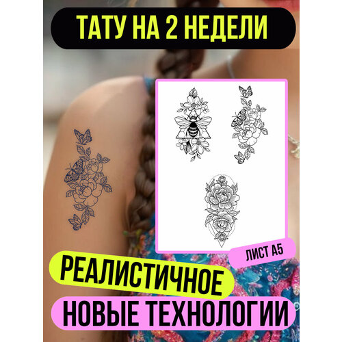 ���� ���� ���������� �������������� ��������, ������ ������