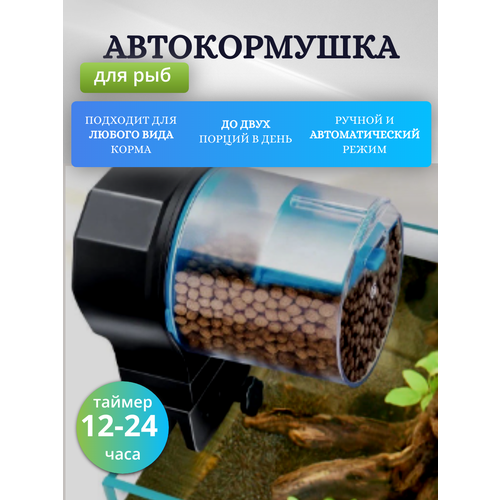 ���� �������������� �������� ��� ��������� � ���������, Maxintro, ������ ������