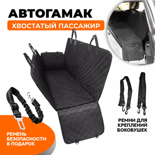 ���� ��������� ��� ��������� ����� 