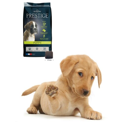      Flatazor Prestige Puppy (3)   -     , -,   