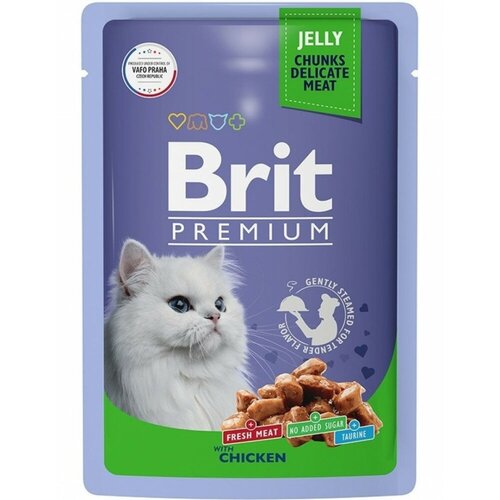   Brit Premium       85   -     , -,   