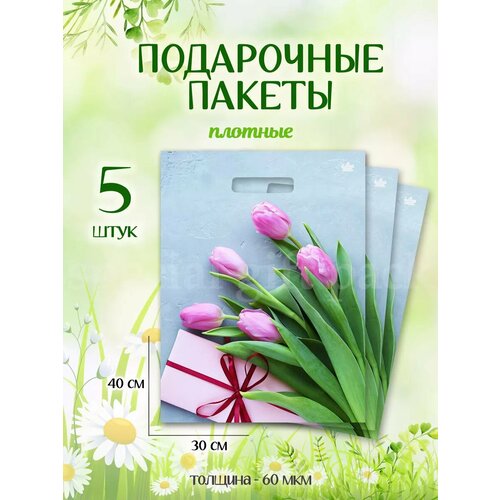 ���� ���������� ������ ����� ��������������, ������ ������