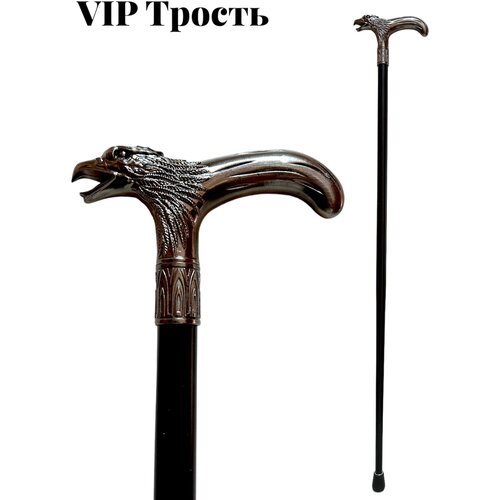 ���� ������, ������ ��� ������, ������ �������, �����������, ������ ��� �������, ������ � �������, �������� �����, ������ ������