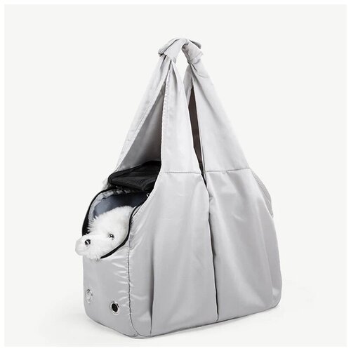 ���� �����-��������� ��� �������� ��������, ������ ������