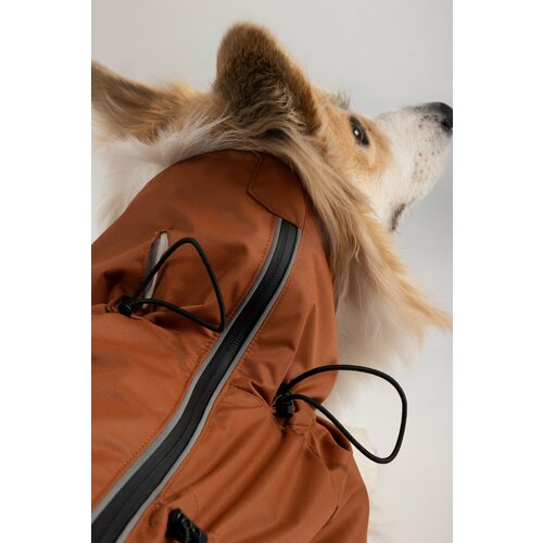 ���� �������� ��� ����� � ����� � ����������, ���� ����������, ������ K50, ����� �� ������ 50��, ������ ������