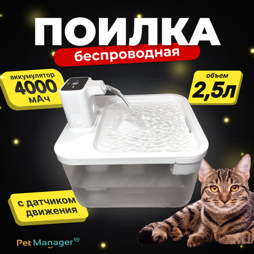 ���� ������ ��� �����, ������ ��������������, ������ �����, ������ ������, ������ � ��������� �������� ��������, ������ � �������������, ������ ������