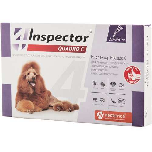  Inspector      Quadro   , , ,    1 .  ., 1 .   -     , -  