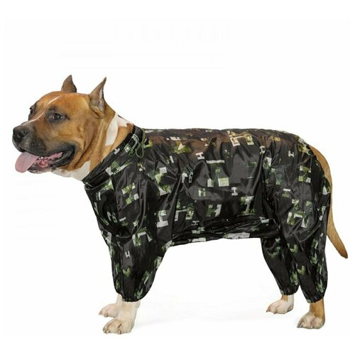 ���� ���������� �12, ��� ����� ������ ��������������� ������, ������ ������