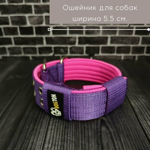 ���� ������� ������� � ��������� ������� ��� ����� �� DOGTON. ������ 5.5 ��. ������� ���������. ������ 35-47 ��. ���� ���������� � �������, ������ ������