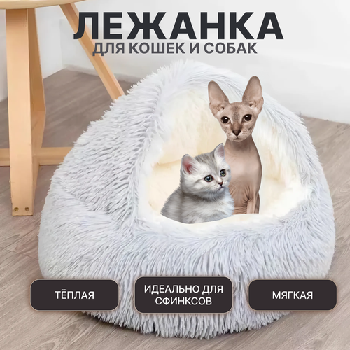 ���� �������� ������� ����� ��� ����� � ����� L 65 �� ������� ���/������ �����, ������ ������