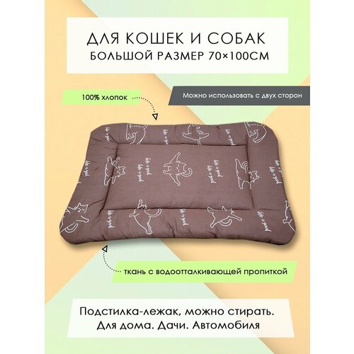 ���� ���������-����� ��� �����/����� 