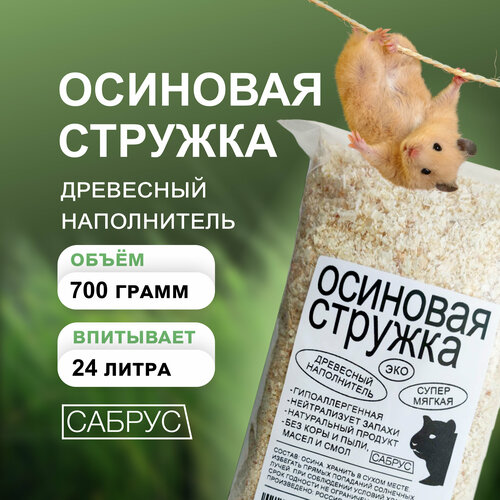 ���� ������ �������� 700 ��. ������ ����������� ���������, ������ ������