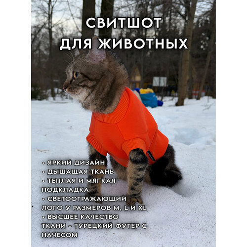 ���� ������� ��� ����� � ����� VEGANBASED ���������/S (����� ������ 23��), ������ ������