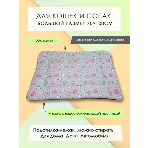 ���� ���������-����� ��� �����/����� 