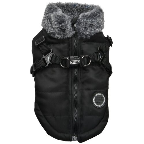 ���� ������ ��� ����� PUPPIA �� ���������� ������� 