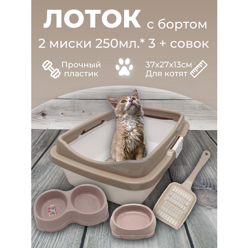 ���� ����� ����� � ������ � ������� � ������, ����� ��� �����, ������ ��� ����� ��������� �������- ��������, ������ ������