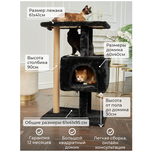 ���� ������� ���������� � ������� 