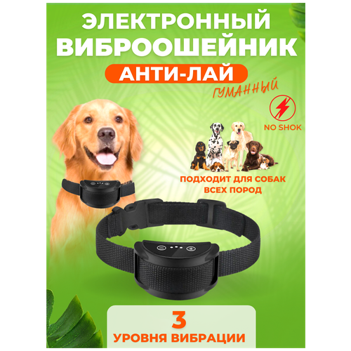 ���� ������� ��� ����� �����������. ������� ��������., ������ ������