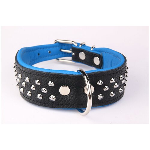 ���� ������� ��� ����� ZOOLESZCZ 