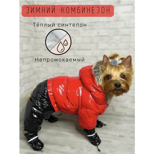 ���� ������ ���������� ��� ����� ���� ����� / ������������� / ������� �������� / ������ 18 / �������, ������ ������