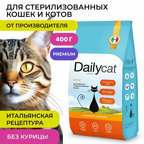    Dailycat     ,    , 400    -     , -  