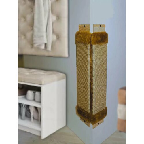 ���� ���������� ������� ��� �����, ������ ������