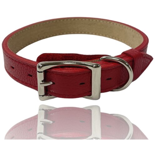 ���� ������� ������� Dog and Go ������������ ������� L ��� ������� ����� (33-43 �� � 25 ��), ������ ������