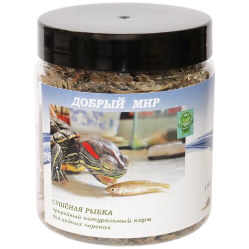 ���� ���� ��� �������, ������� �����, ������ ���, 115 ��, ������ ������