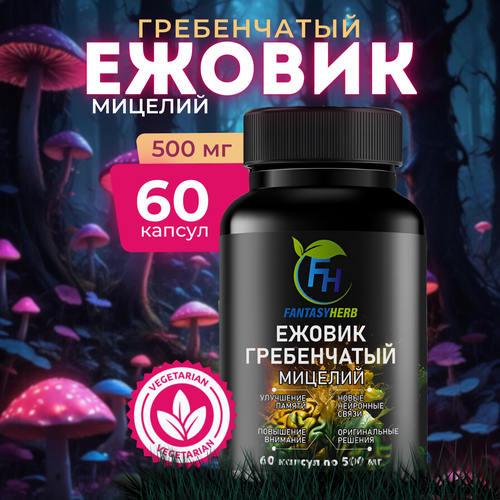 ���� ������� ������� ������������ 60 ������ �� 500 ��, ������ ������