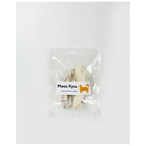 ���� ����� ������� ���� ���� / ��������� ������� ��� ����� + � ������� ���� �������, ������ ������