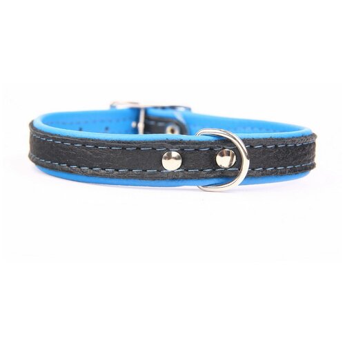 ���� ZOOLESZCZ ������� ��� ����� 