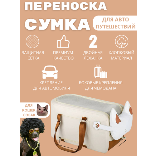 ���� ����� ��������� ��� ����� � ����� �������������, ������ ������