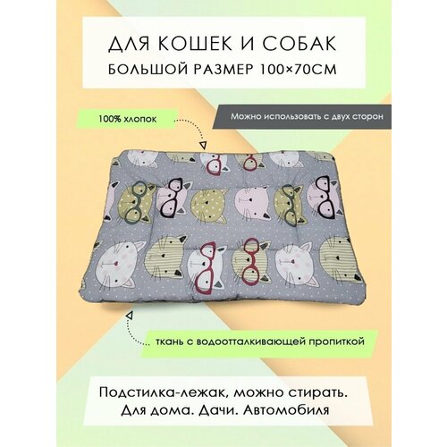 ���� ���������-����� ��� �����/����� 