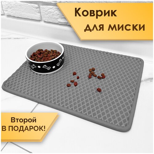 ���� ������ ��� ����� / ������ ��� �������� ��� ���� ����� (�������� �� 2� ���� 30�40��), ������ ������