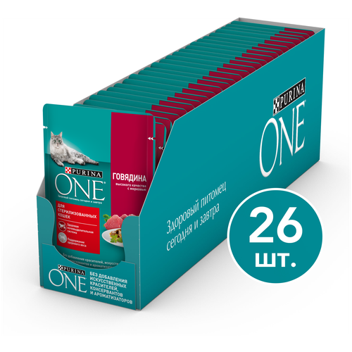       PURINA ONE    , 26.*75 