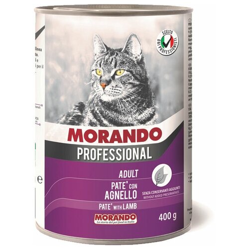  Morando Professional    (0.4 ) (5 )   -     , -,   