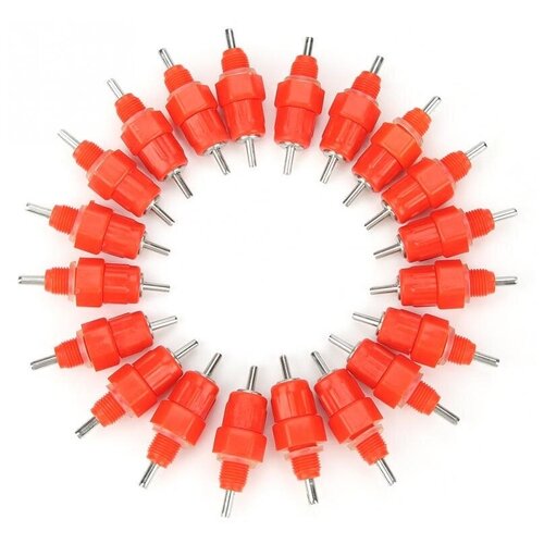 ���� ���������� ������ ��� ����, ��� ���������, ��� �����, ��� ������ ��2 - 20 ���� / ���������� ��� ����, ��� ���, ��� ���������, ������ ������