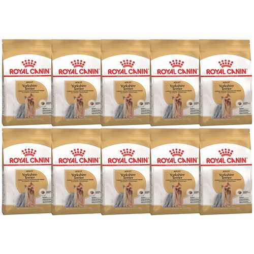      Royal Canin   ,      1 .  10 .  500    -     , -  