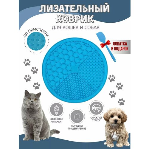 ���� ����������� ������ ��� ����� � �����, ������ ������