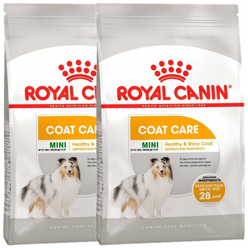    ROYAL CANIN MINI COAT CARE           (1 + 1 )   -     , -,   