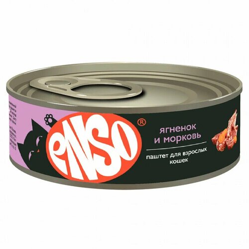       ENSO      100    -     , -  