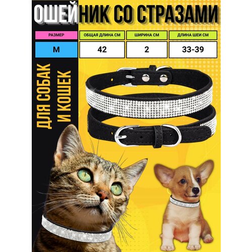 ���� ������� M �� �������� ��� ����� � �����, ������ ������