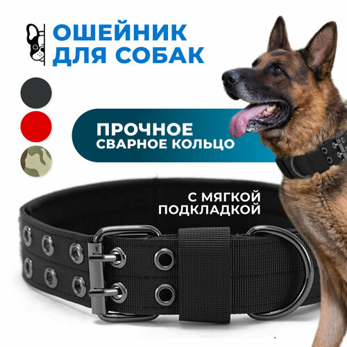 ���� ������� ��� ����� ������� � ������� ����� ������� / ������ / ������ L, ������ ������