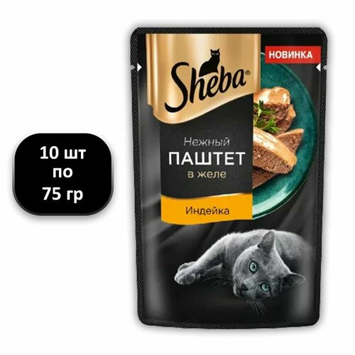  (10 .) 75 , Sheba,  ,  ,      -     , -  