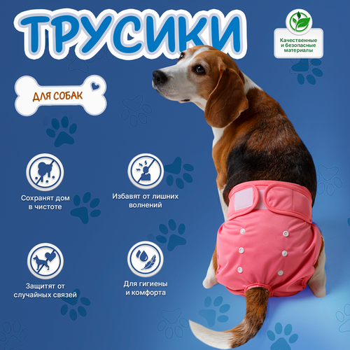 ���� ����� ��� ������ �� ����� ����� ������������ S, ���������� ��� ����� ����������� ����� �����������, ������ ������