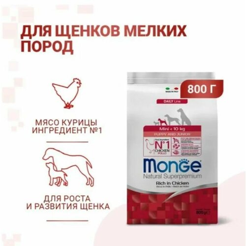        Monge   800    -     , -  